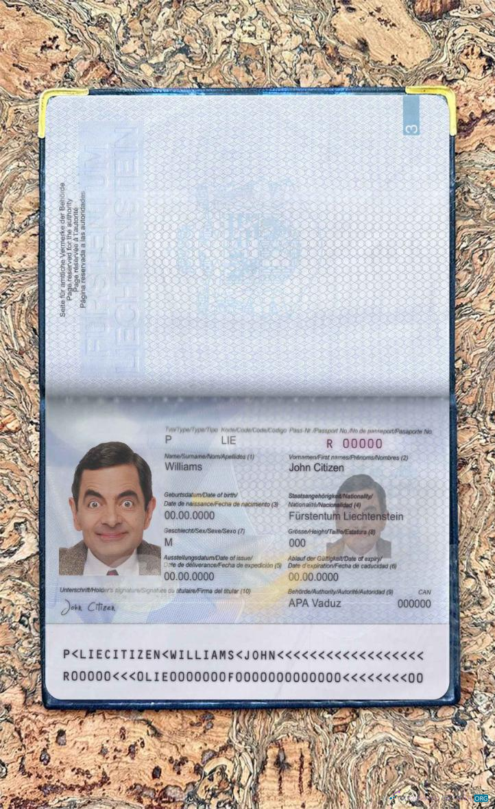 Download Liechtenstein pass photo look Photoshop template